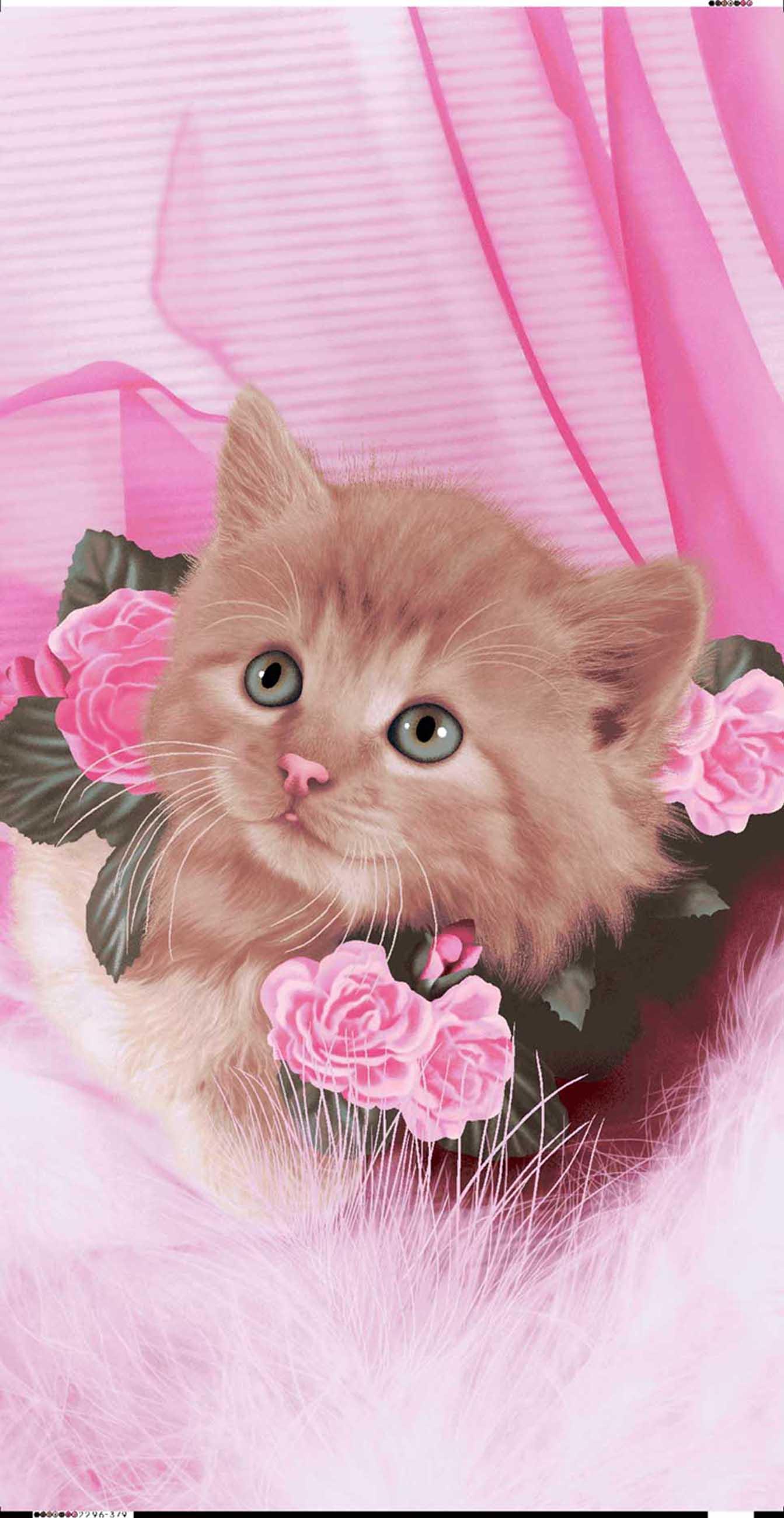 KITTY CUTE ROSE CAT 2296